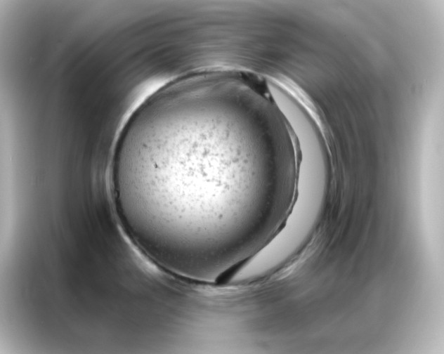 X0000087001293200704301350