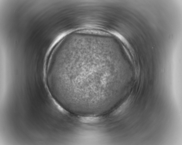 X0000087001294200704301350