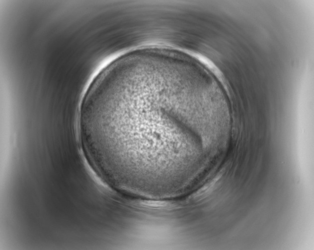 X0000087001295200704301350