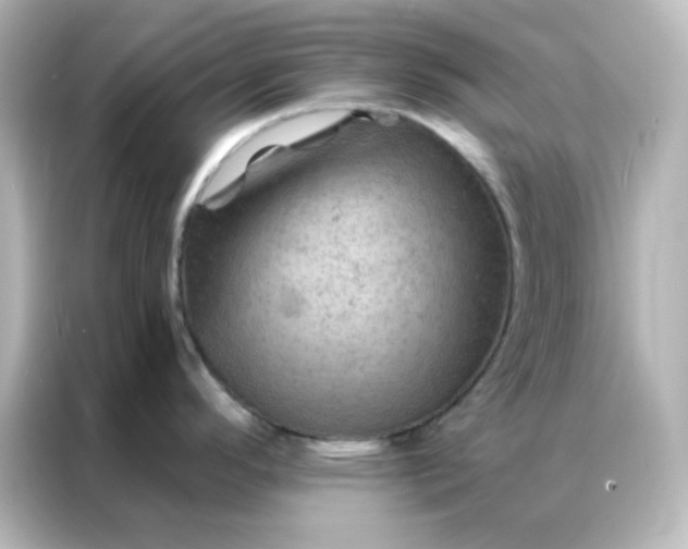 X0000087001296200704301350