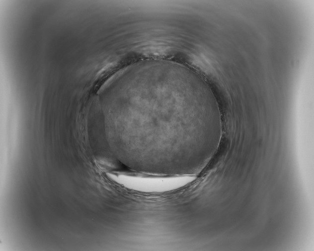 X0000087001297200704301349