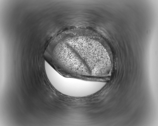X0000087001298200704301349
