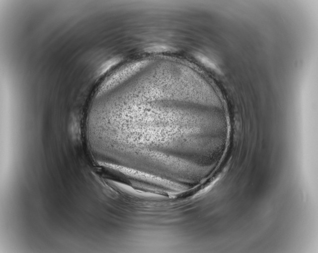 X0000087001305200704301349