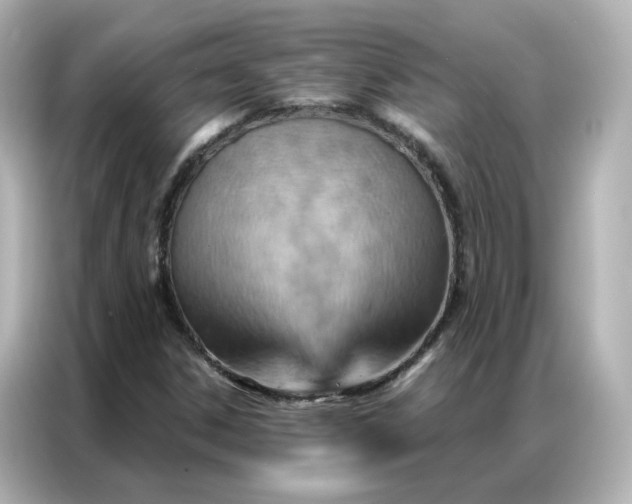 X0000087001306200704301349