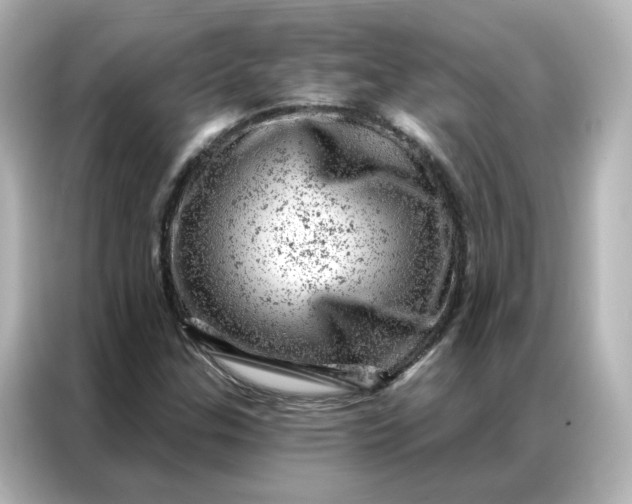 X0000087001307200704301349