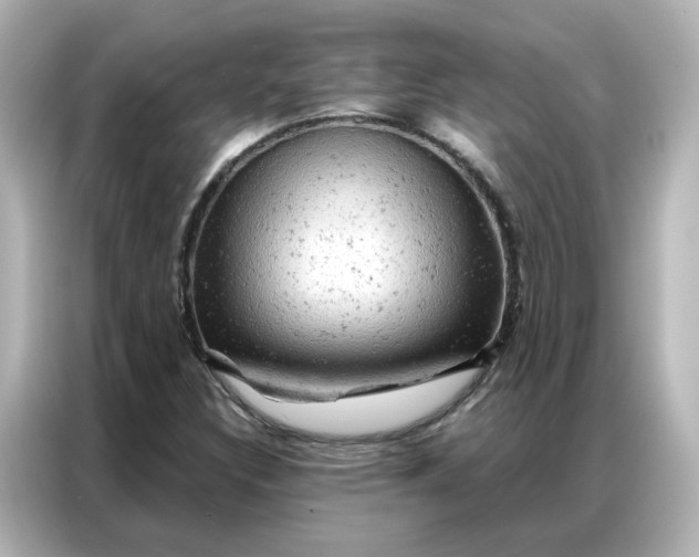 X0000087001308200704301349