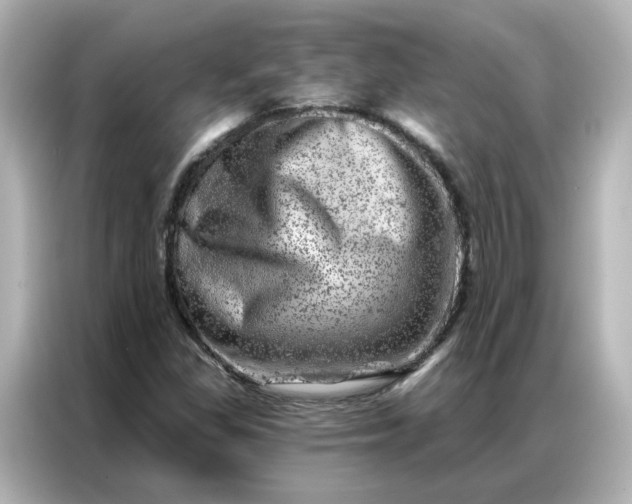 X0000087001309200704301349