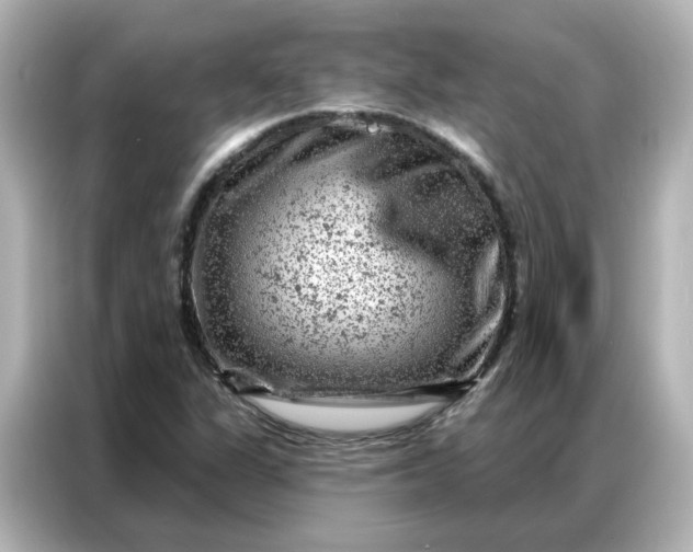 X0000087001311200704301349