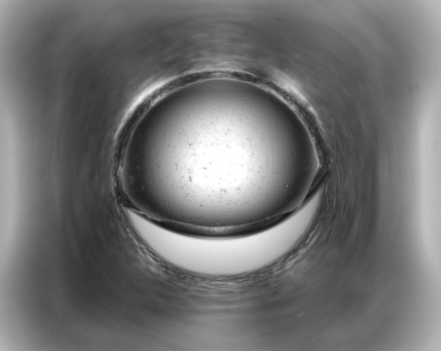 X0000087001312200704301349