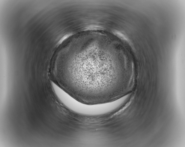 X0000087001313200704301349
