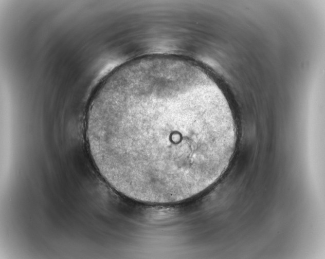 X0000087001314200704301349