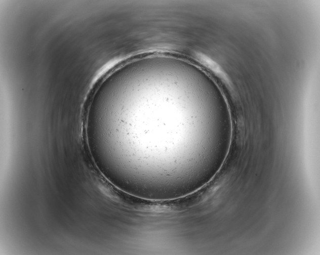 X0000087001316200704301350