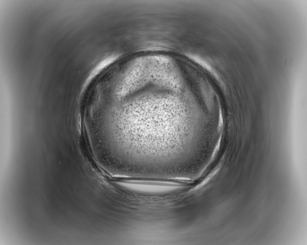 X0000087001317200704301350