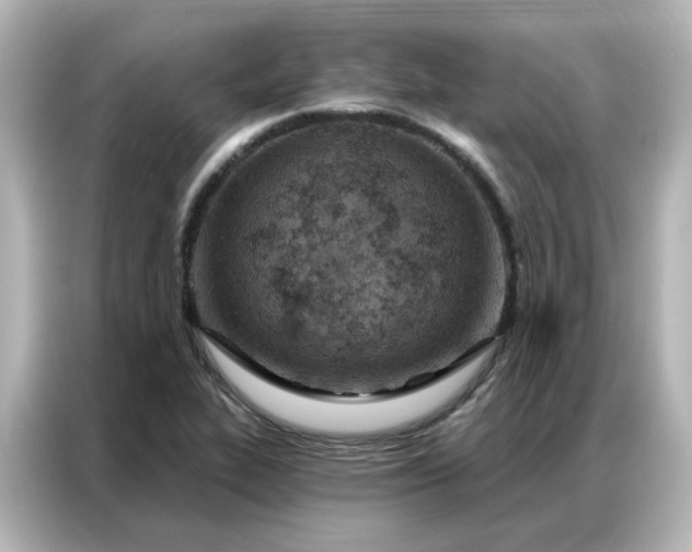 X0000087001319200704301350