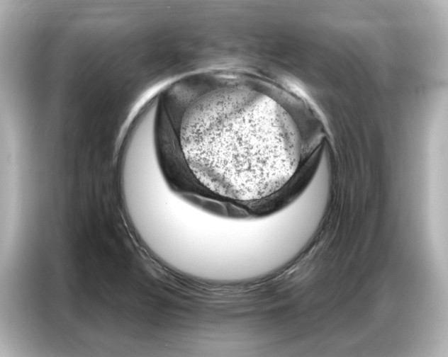 X0000087001320200704301350