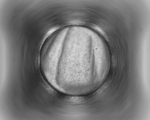 X0000087001322200704301350