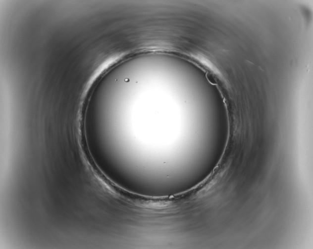 X0000087001325200704301350