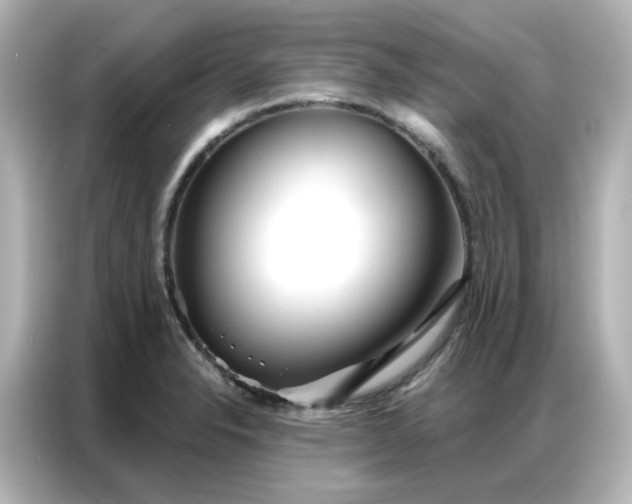 X0000087001326200704301350