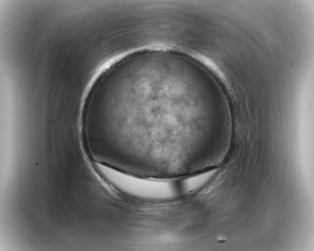 X0000087001327200704301350