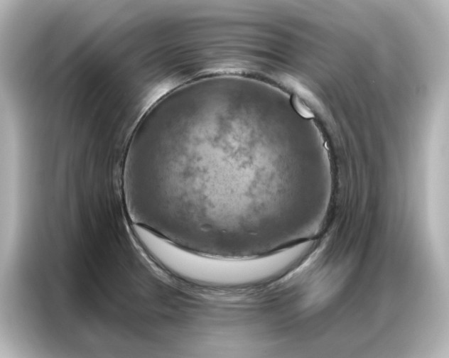 X0000087001329200704301350