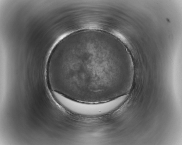 X0000087001331200704301350