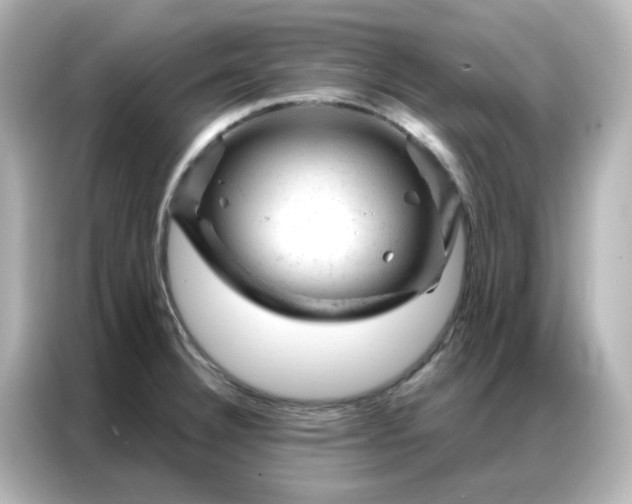 X0000087001332200704301350