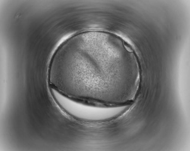 X0000087001333200704301350