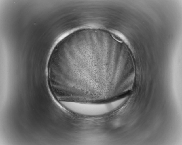 X0000087001335200704301350