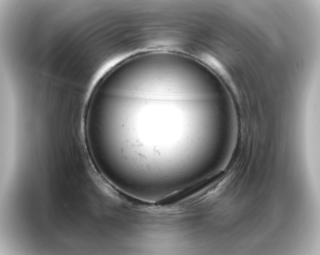 X0000087001336200704301350