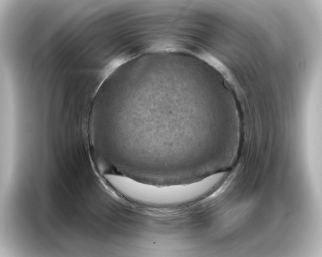 X0000087001337200704301350