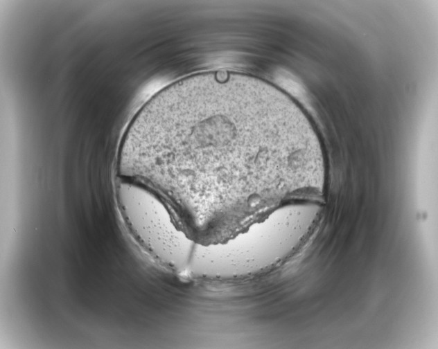 X0000087001338200704301350