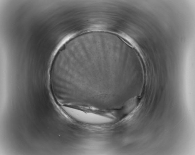 X0000087001341200704301350