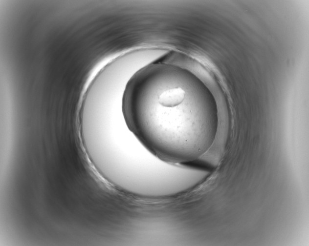 X0000087001344200704301350