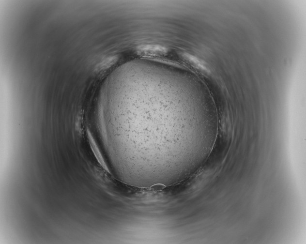 X0000087001346200704301349