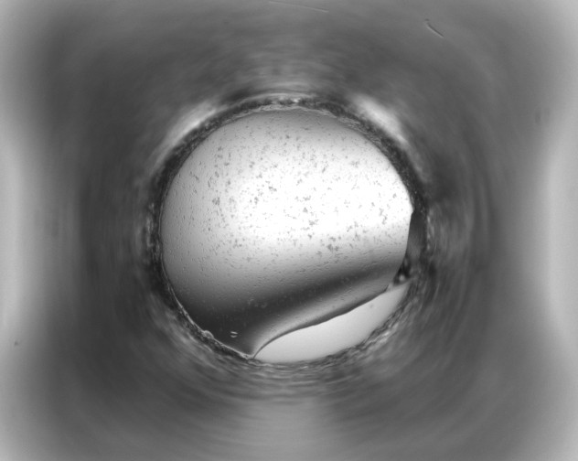 X0000087001352200704301349