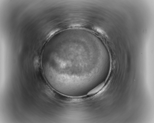 X0000087001353200704301349