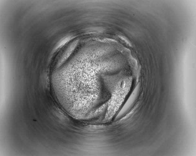 X0000087001354200704301349