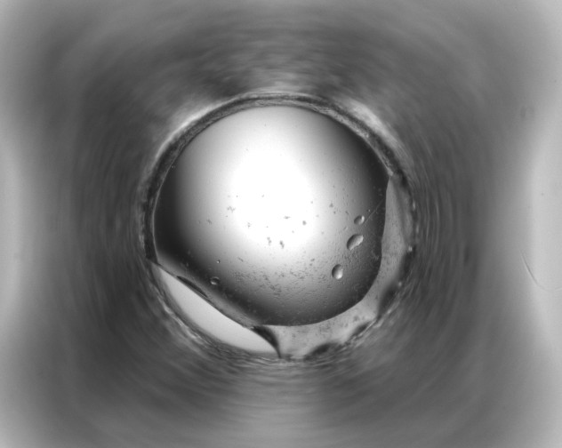 X0000087001356200704301349