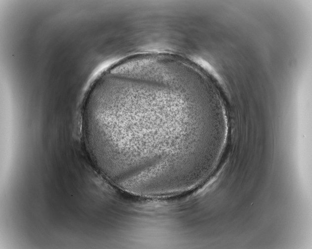 X0000087001358200704301349