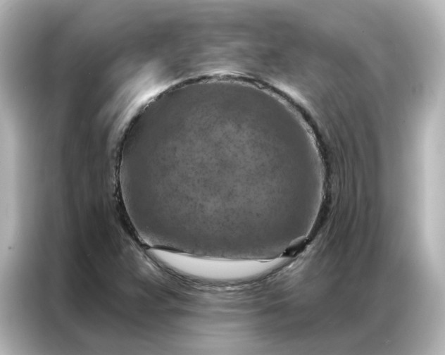 X0000087001359200704301349