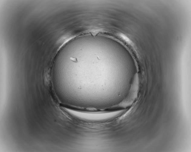 X0000087001361200704301349