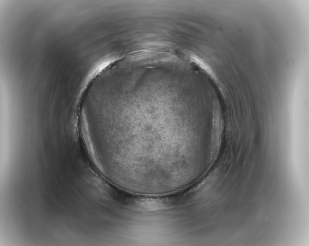 X0000087001362200704301349