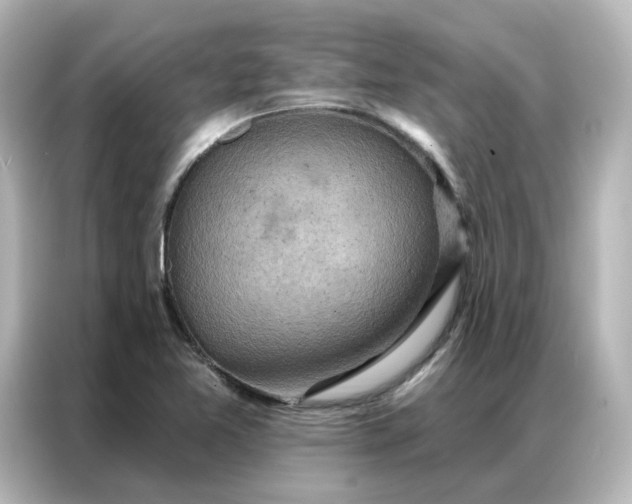 X0000087001365200704301349