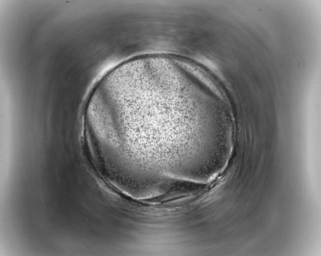 X0000087001366200704301349
