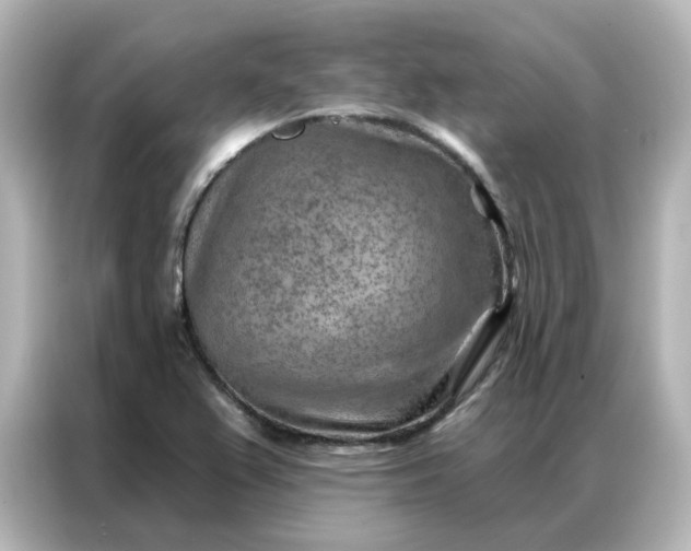X0000087001367200704301349