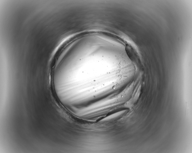 X0000087001368200704301349