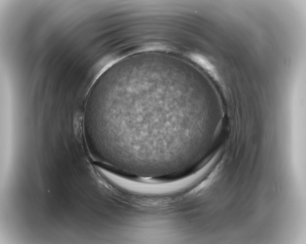 X0000087001369200704301349