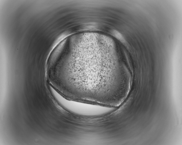 X0000087001370200704301349