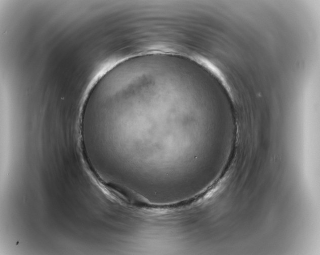 X0000087001373200704301349