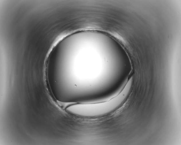 X0000087001374200704301349